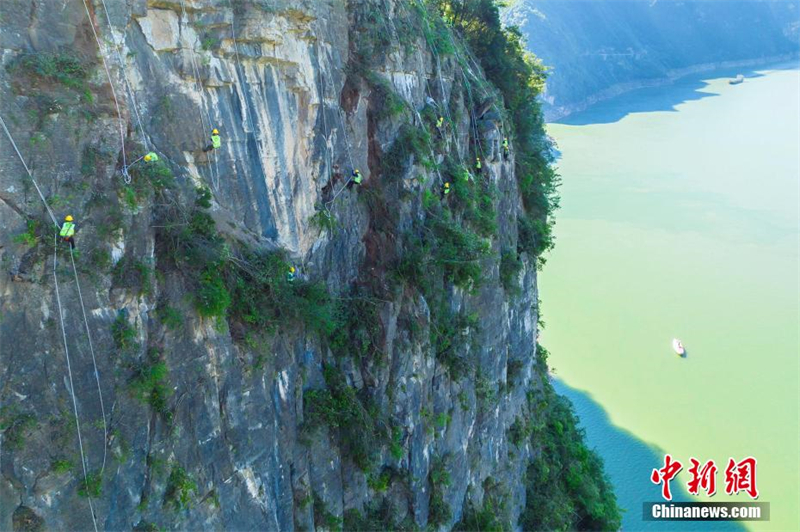 Hubei : à Zigui, les ? hommes araignées ? éliminent les dangers sur les falaises abruptes au-dessus d'une autoroute