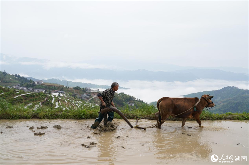 Les monts Xuefeng attirent les randonneurs du monde entier