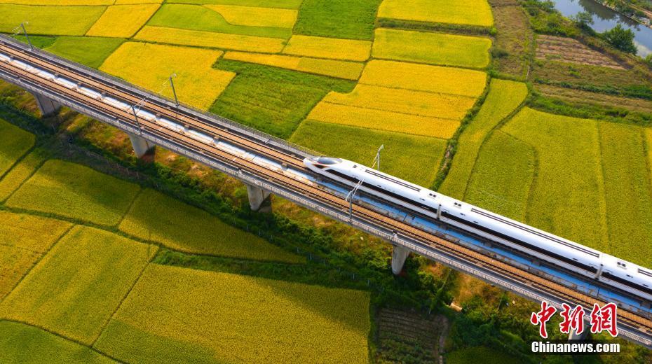 (Zhao Chunliang / China News Service)