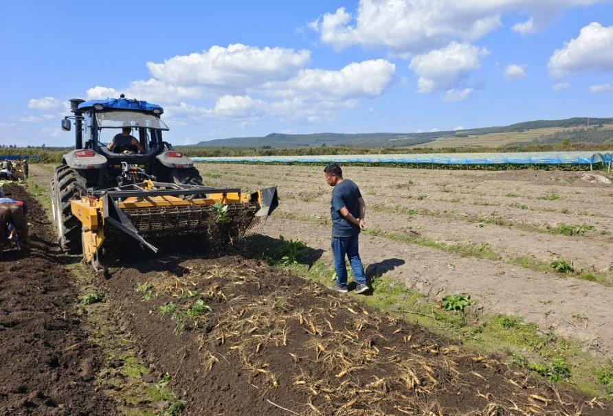 (Wang Xiaolin / Xinhua)