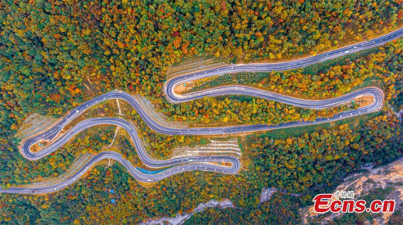Hubei : les couleurs de l'automne enflamment le Parc national de Shengnongjia