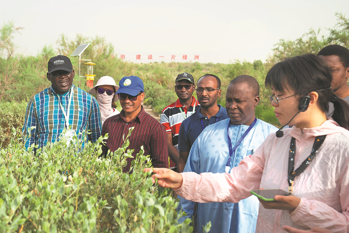 Une technicienne chinoise (à droite) guide un groupe de visiteurs africains dans le jardin botanique de Tazhong, dans la région autonome ou?goure du Xinjiang (nord-ouest de la Chine), le 16 juin. (Zhou Shengbin / Xinhua)
