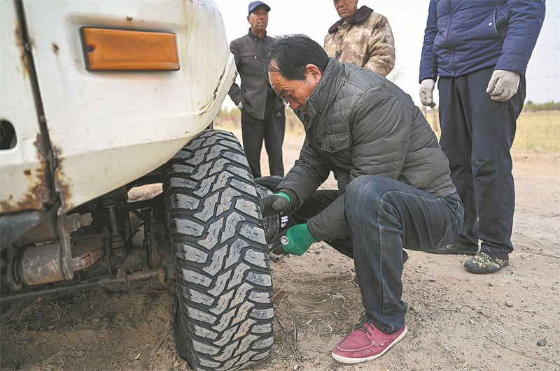 Mongolie intérieure : comment la plantation d'arbres empêche le désert de s'étendre