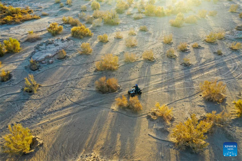 Histoire en images de planteurs en Mongolie intérieure
