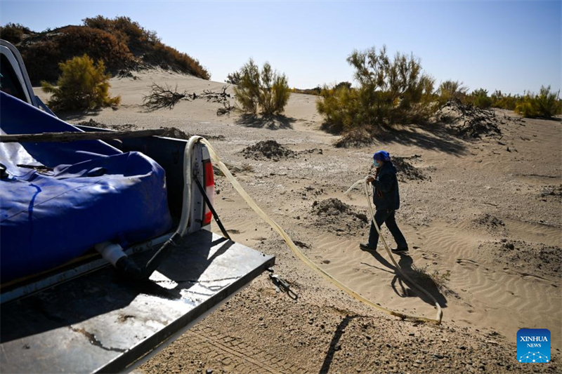 Histoire en images de planteurs en Mongolie intérieure