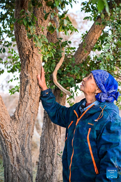 Histoire en images de planteurs en Mongolie intérieure