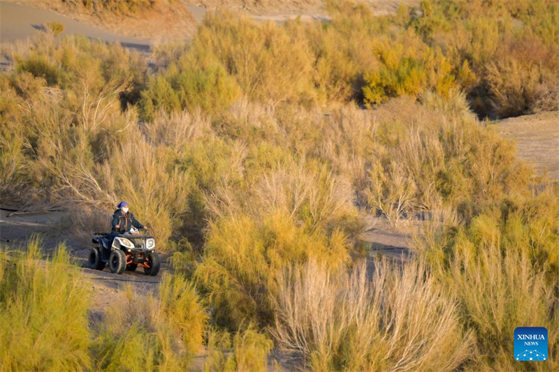 Histoire en images de planteurs en Mongolie intérieure