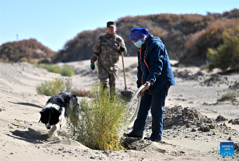 Histoire en images de planteurs en Mongolie intérieure