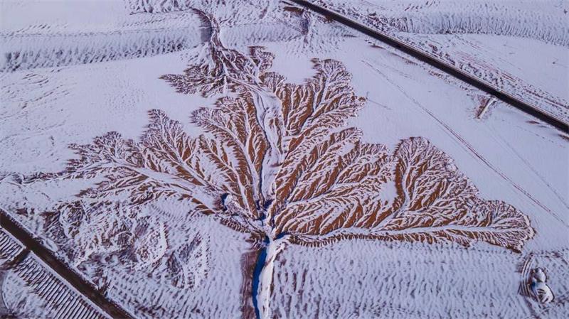 Tibet : l'arbre ? sculpté ? sur la terre