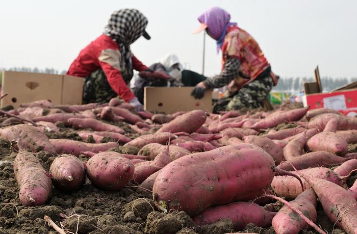 (Yang Shirao / Xinhua)