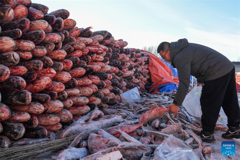 Jilin : début d'un festival sur le thème de la pêche hivernale sur le lac Chagan
