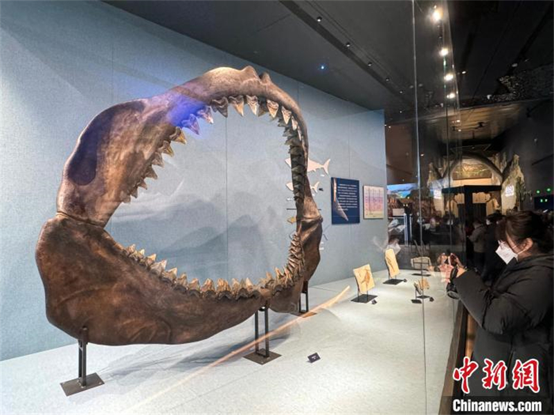 Ouverture du plus grand musée des sciences naturelles de Chine