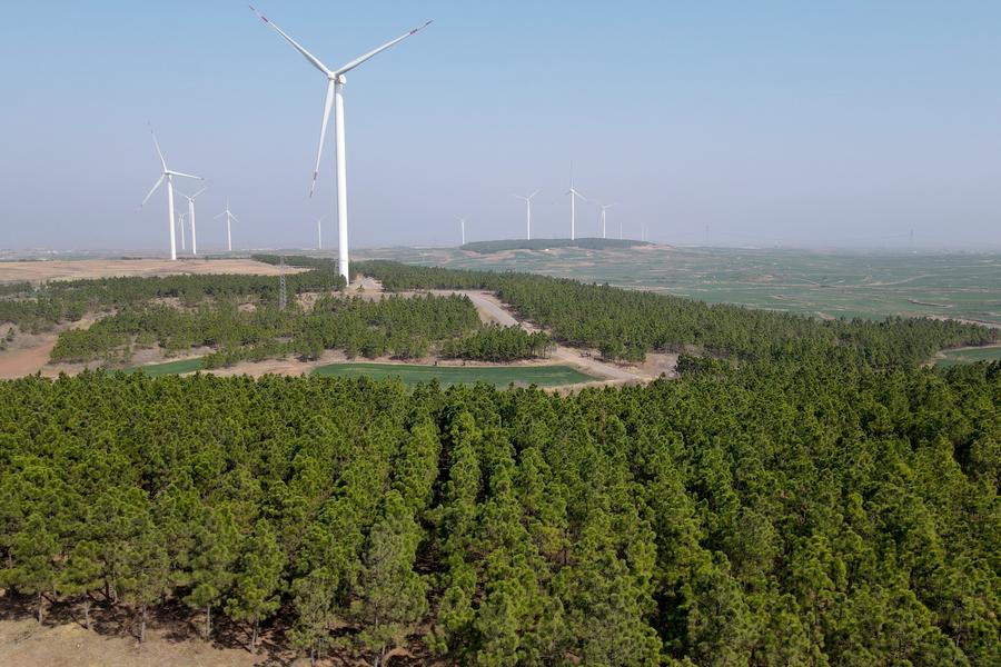 Photo aérienne d'une vue des forêts de la montagne Luchong, dans le bourg de Zhuding du district de Wuhe, dans la province chinoise de l'Anhui (est), le 10 mars 2023. (Photo : Huang Bohan)