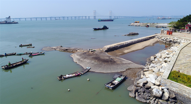 Fujian : les fleurs d'Erythrina fleurissent à Quanzhou, la ? ville des Erythrinas ?