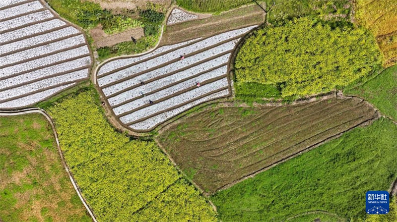 Les agriculteurs s'activent en ce début de printemps