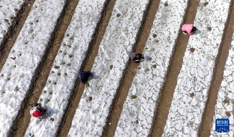 Les agriculteurs s'activent en ce début de printemps