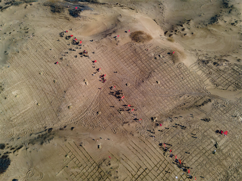 Mongolie intérieure : la bannière d'Aohan plante de l'herbe pour lutter contre la désertification