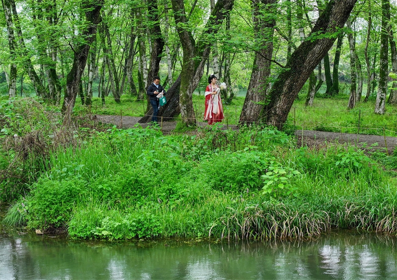 Anhui : le tourisme écologique au printemps à Huangshan