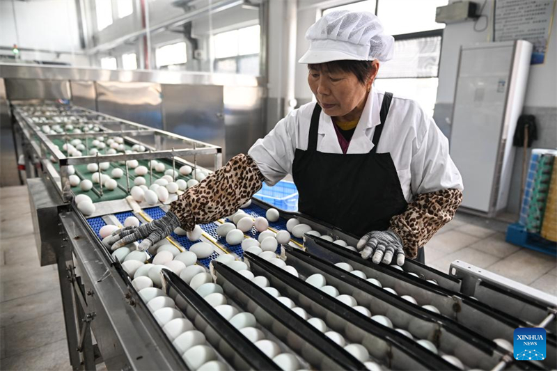 Jiangsu : l'industrie des ?ufs de cane stimule l'économie locale à Gaoyou