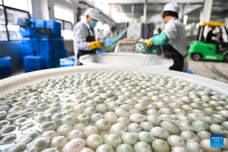 Jiangsu : l'industrie des ?ufs de cane stimule l'économie locale à Gaoyou