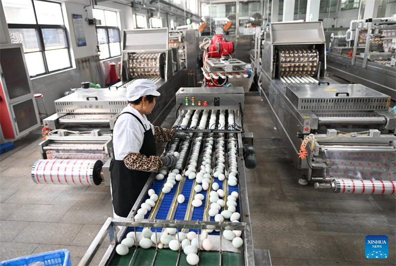 Jiangsu : l'industrie des ?ufs de cane stimule l'économie locale à Gaoyou