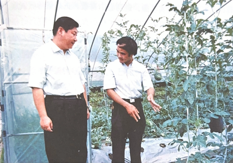 En juin 2002, Xi Jinping a inspecté la base de légumes en serre du parc de démonstration agricole du village de Wuli, dans la commune de Wan'an du comté de Wuping, à Longyan, dans la province du Fujian (sud-est de la Chine). (Source : ? Xi Jinping au Fujian ?)