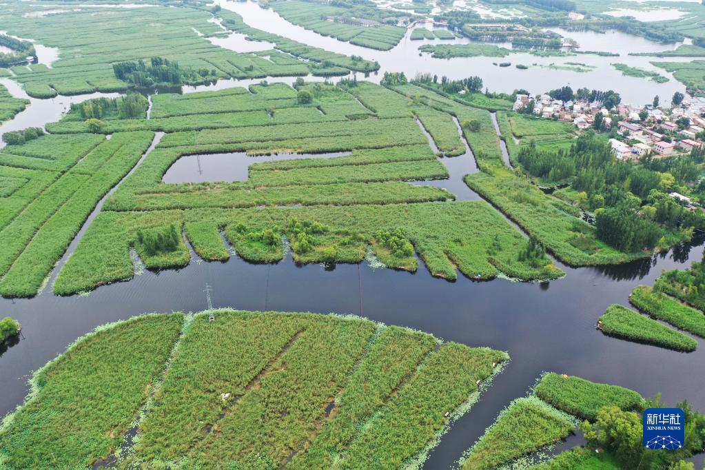 (Zhu Xudong / Xinhua)