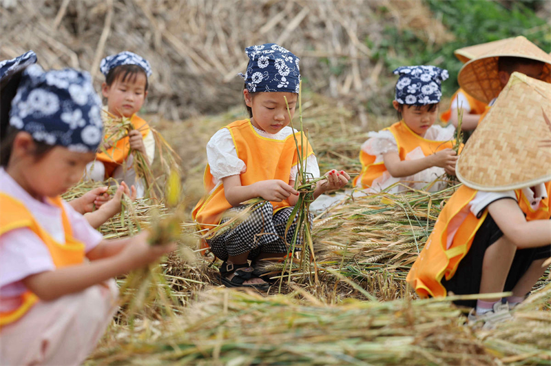 Shandong : des activités sur le thème du terme solaire des épis Pleins organisées dans une maternelle de Yiwen