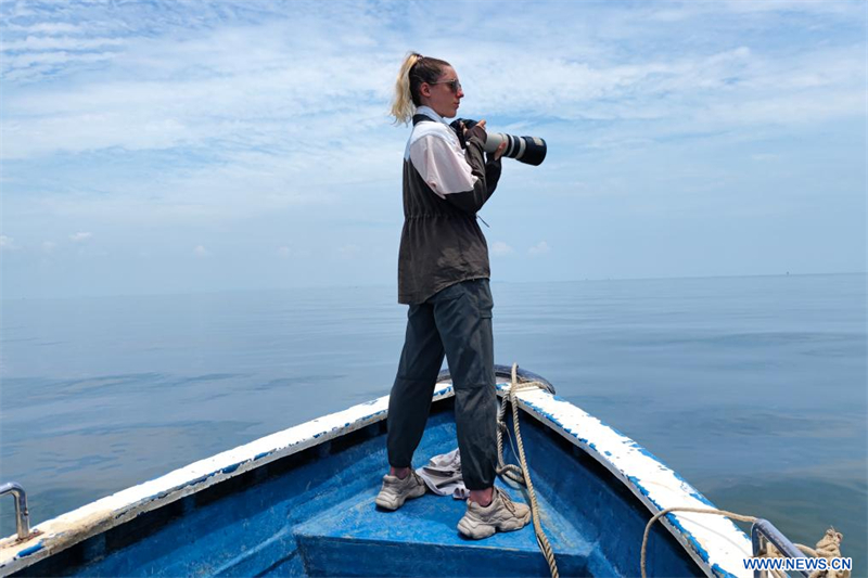Le lien environnemental entre une scientifique fran?aise et les dauphins blancs de Chine