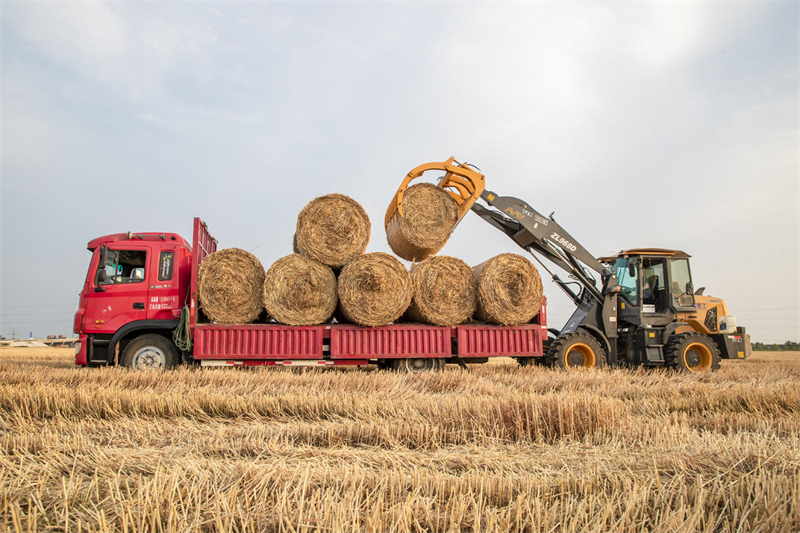 (Xu Rui / Pic.people.com.cn)