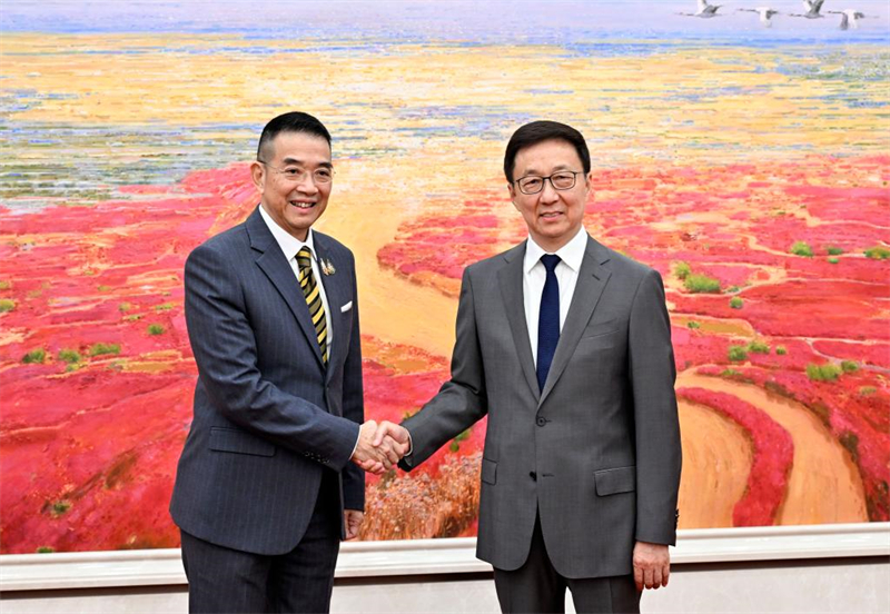 Le vice-président chinois rencontre le ministre tha?landais des AE à Beijing