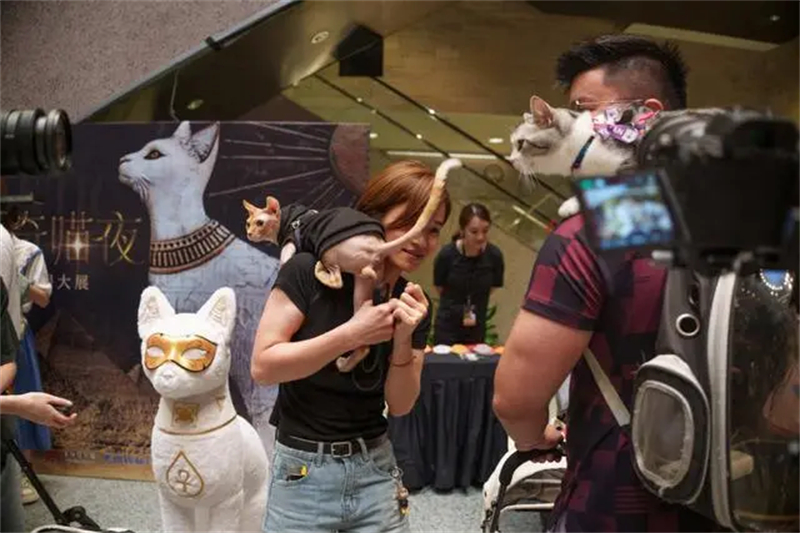 (Gao Erqiang / China Daily)