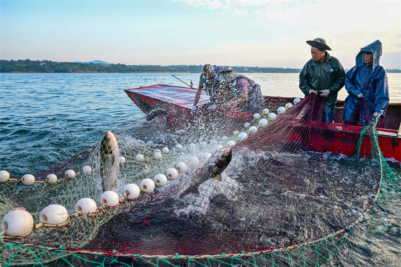 Henan : dans le comté de Song, les poissons sautent et les gens se réjouissent