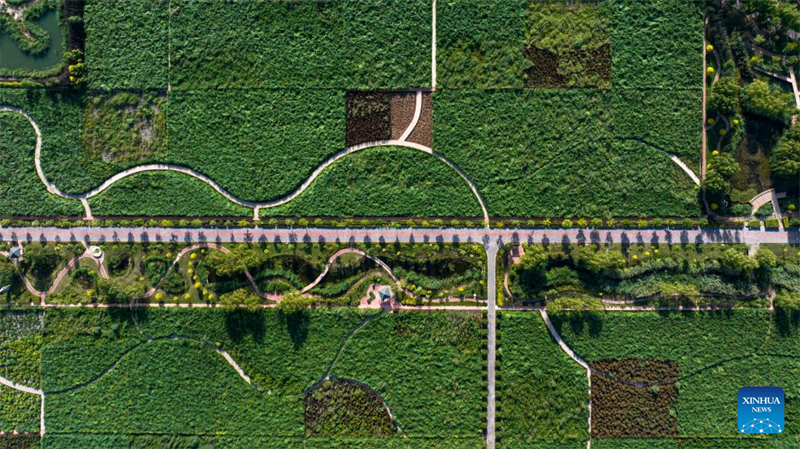 Ningxia : Wuzhong attire les touristes grace à l'amélioration de son environnement écologique