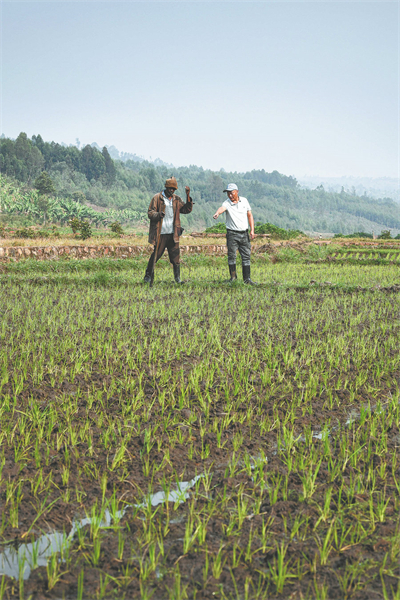 Comment une technologie de récolte chinoise sème les graines de la croissance en Afrique