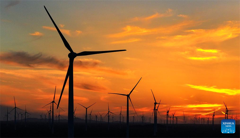 Xinjiang : Hami accélère le développement et la construction de l'énergie éolienne