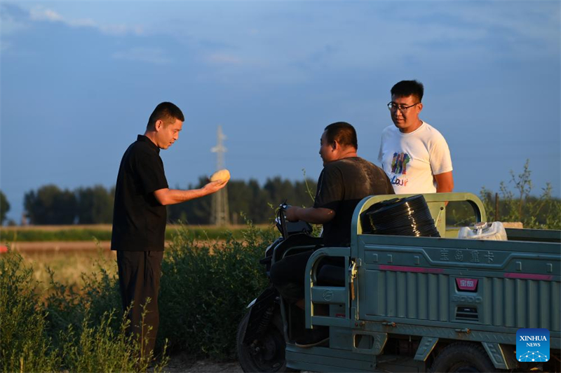 Shanxi : les ? nouveaux agriculteurs ? apportent de la vitalité à l'agriculture moderne à Wenshui
