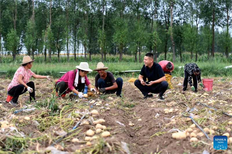 Shanxi : les ? nouveaux agriculteurs ? apportent de la vitalité à l'agriculture moderne à Wenshui