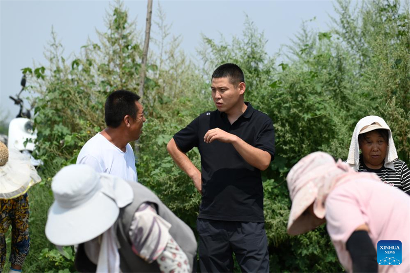 Shanxi : les ? nouveaux agriculteurs ? apportent de la vitalité à l'agriculture moderne à Wenshui