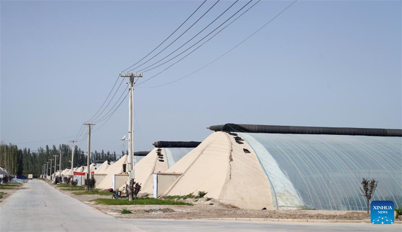 La province du Shandong soutient le Xinjiang par le biais de programmes d'? aide jumelage ?