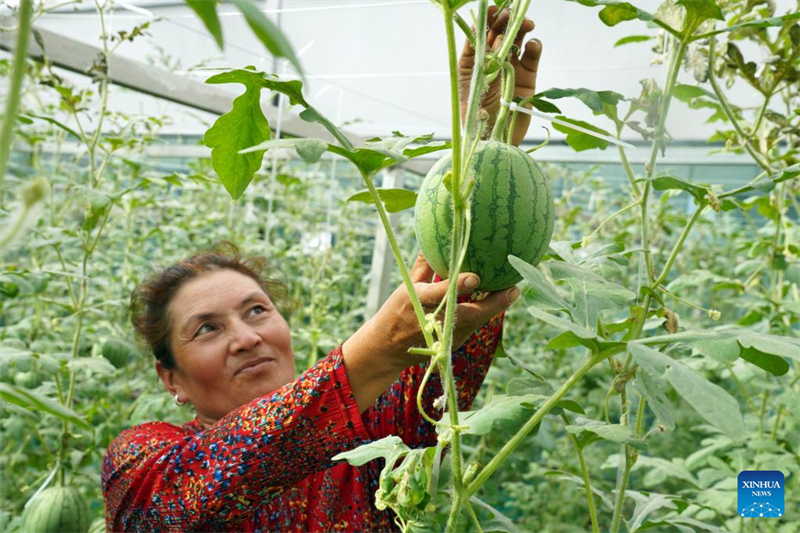 La province du Shandong soutient le Xinjiang par le biais de programmes d'? aide jumelage ?