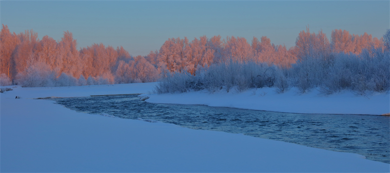 Xinjiang : un magnifique paysage de givre appara?t dans le Parc forestier national de la forêt de Baihua à Habahe