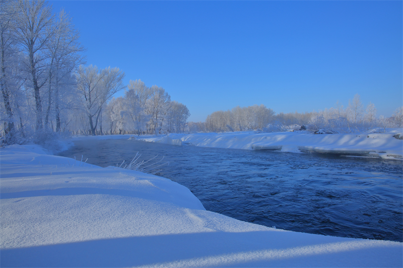 Xinjiang : un magnifique paysage de givre appara?t dans le Parc forestier national de la forêt de Baihua à Habahe
