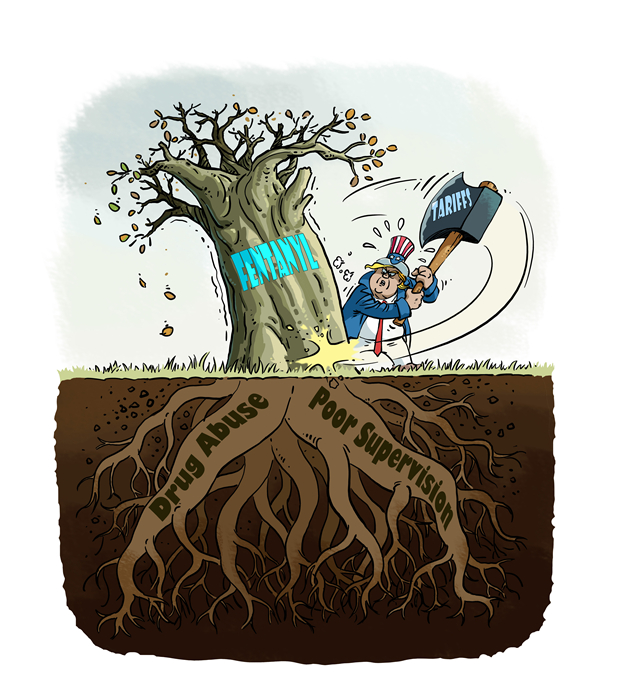 Commentaire illustré de la crise du fentanyl aux états-Unis: ? Couper l'herbe sans extirper la racine ?