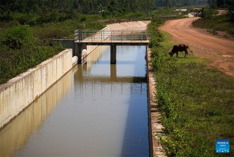 Comment un projet d'irrigation construit par la Chine a transformé les moyens de subsistance des agriculteurs kényans