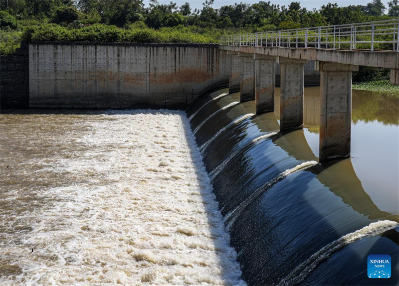Comment un projet d'irrigation construit par la Chine a transformé les moyens de subsistance des agriculteurs kényans