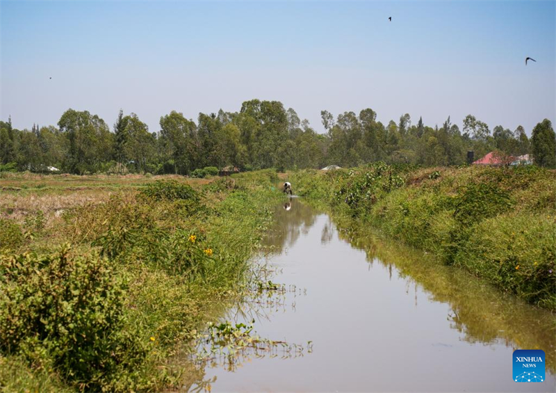 Comment un projet d'irrigation construit par la Chine a transformé les moyens de subsistance des agriculteurs kényans