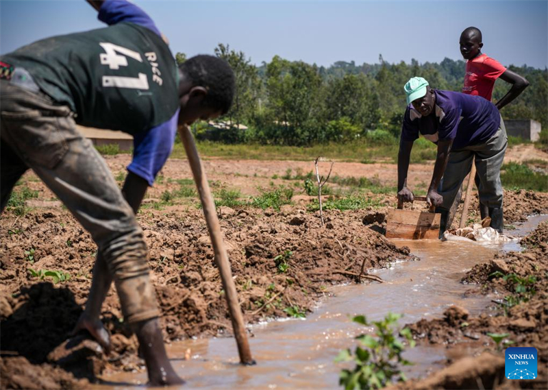 Comment un projet d'irrigation construit par la Chine a transformé les moyens de subsistance des agriculteurs kényans