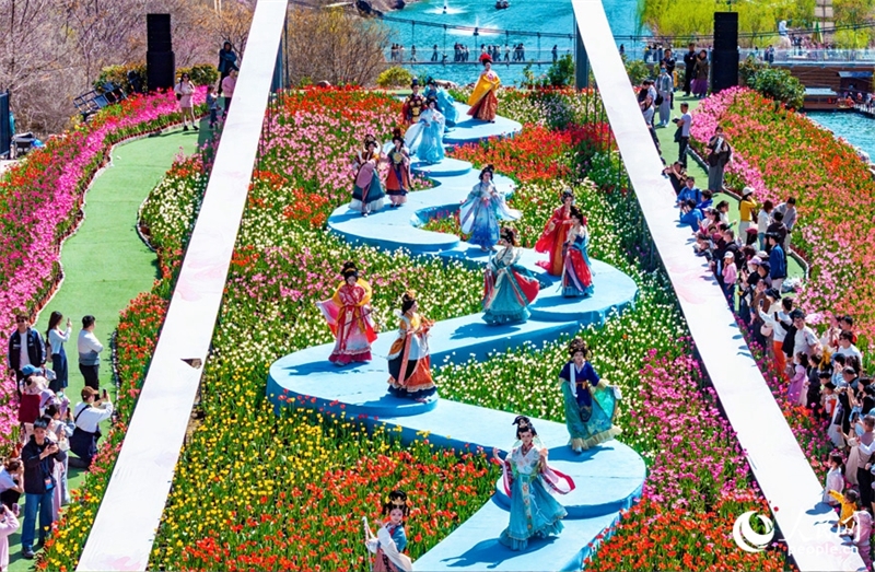 Henan : des millions de tulipes fleurissent et rivalisent de beauté à Xinxiang