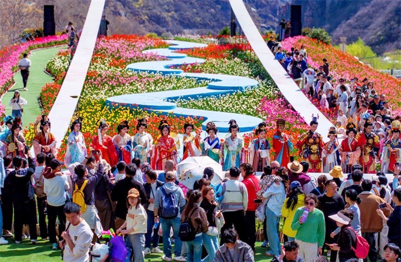 Henan : des millions de tulipes fleurissent et rivalisent de beauté à Xinxiang